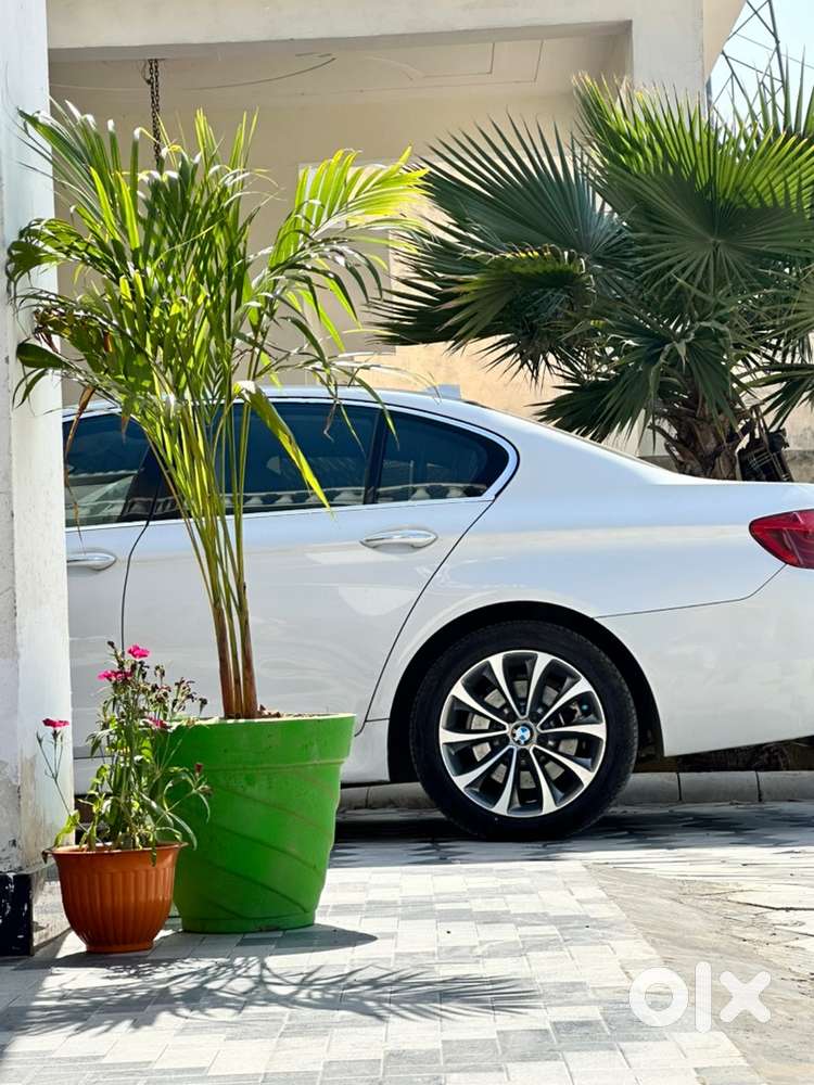 Driver for Government officer