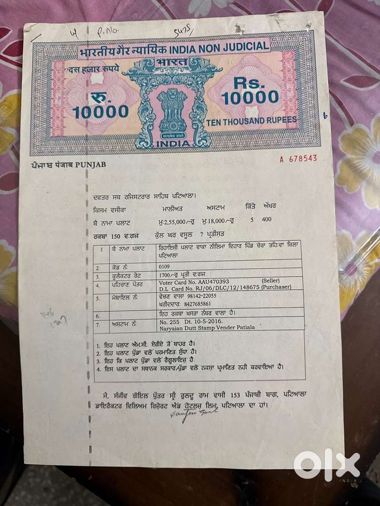 Neelima vihar sanour