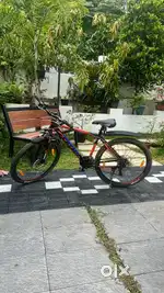 Model -Cosmic Jupyter 27.9,2022 model gear cycle(7x3),frame size-19'