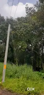 7 cent  2 plots in avoly Anikadu Avoly