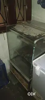 Backed samosa display counter