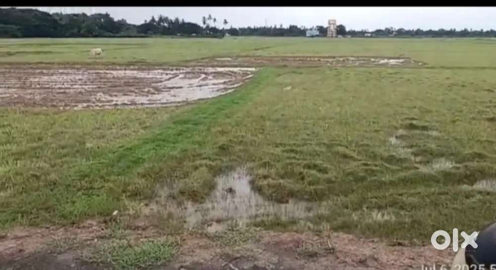Cuttack nayabazar to biribati to  paramahansa canal road