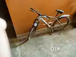 Cycle is only 5 months old