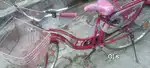 Tata Girls Bicycle