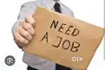 I'm looking for a job