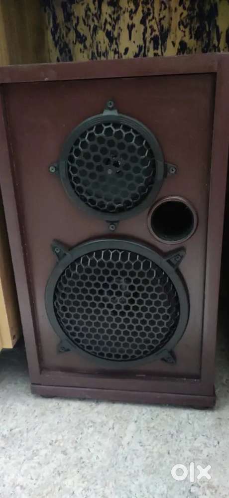 Amblifare with speaker