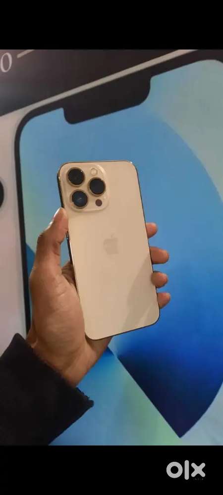 I phone 12 pro get refurbished model at genuine price in your budget