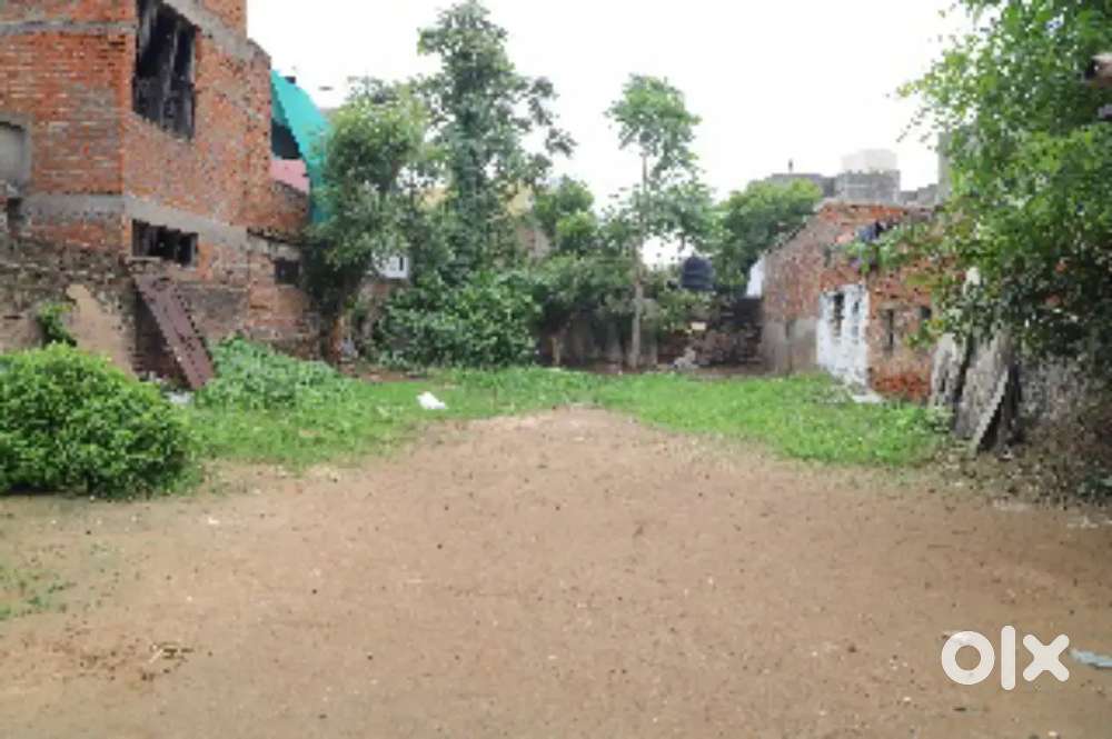 Mali no kuvo plain plot