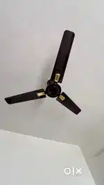 Ceiling Fan - 2 Units
