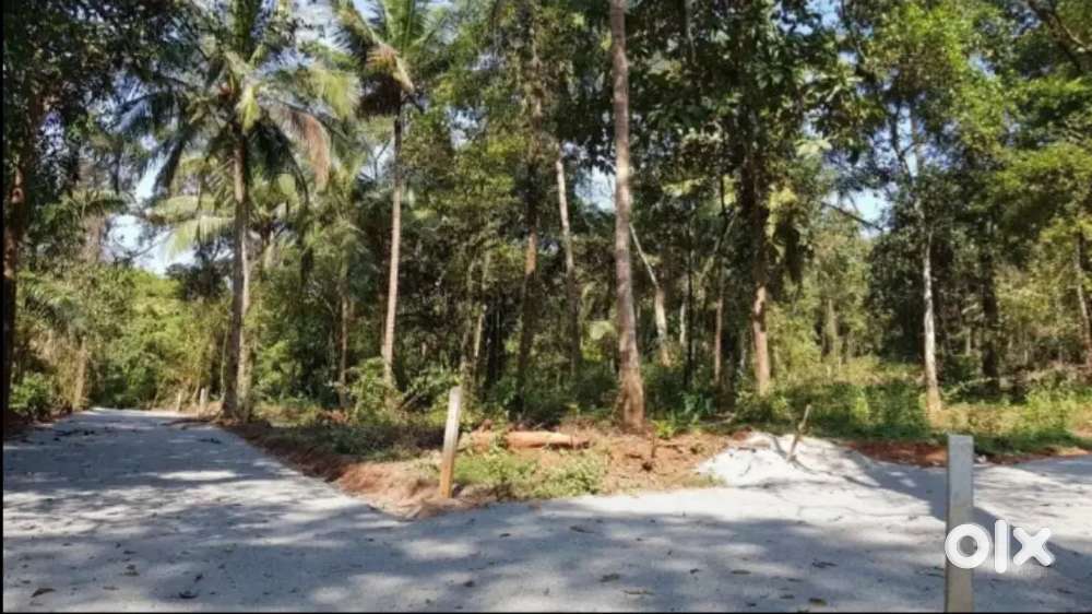 NA plots for sale in palval velguem Sattari Goa