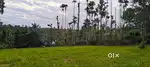 Resort/House Plot For Sale