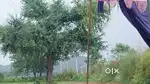 NEW LAUNCHING PANIYALA CHNADIGARH EXPRESSWAY