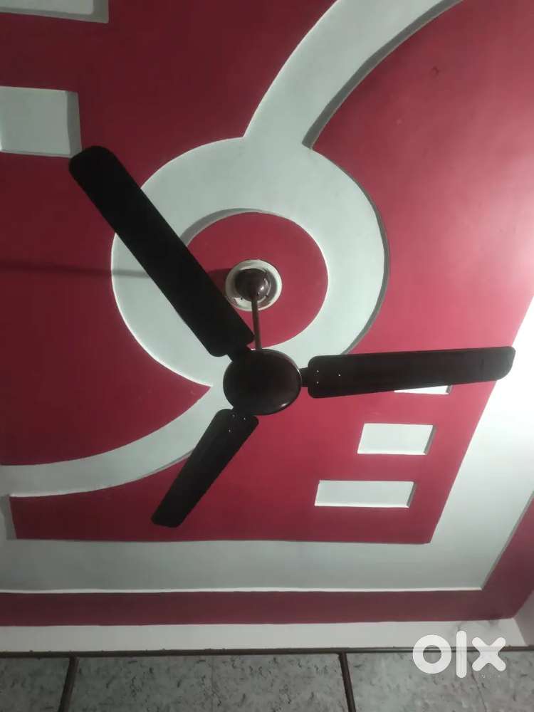 Ceiling Fan