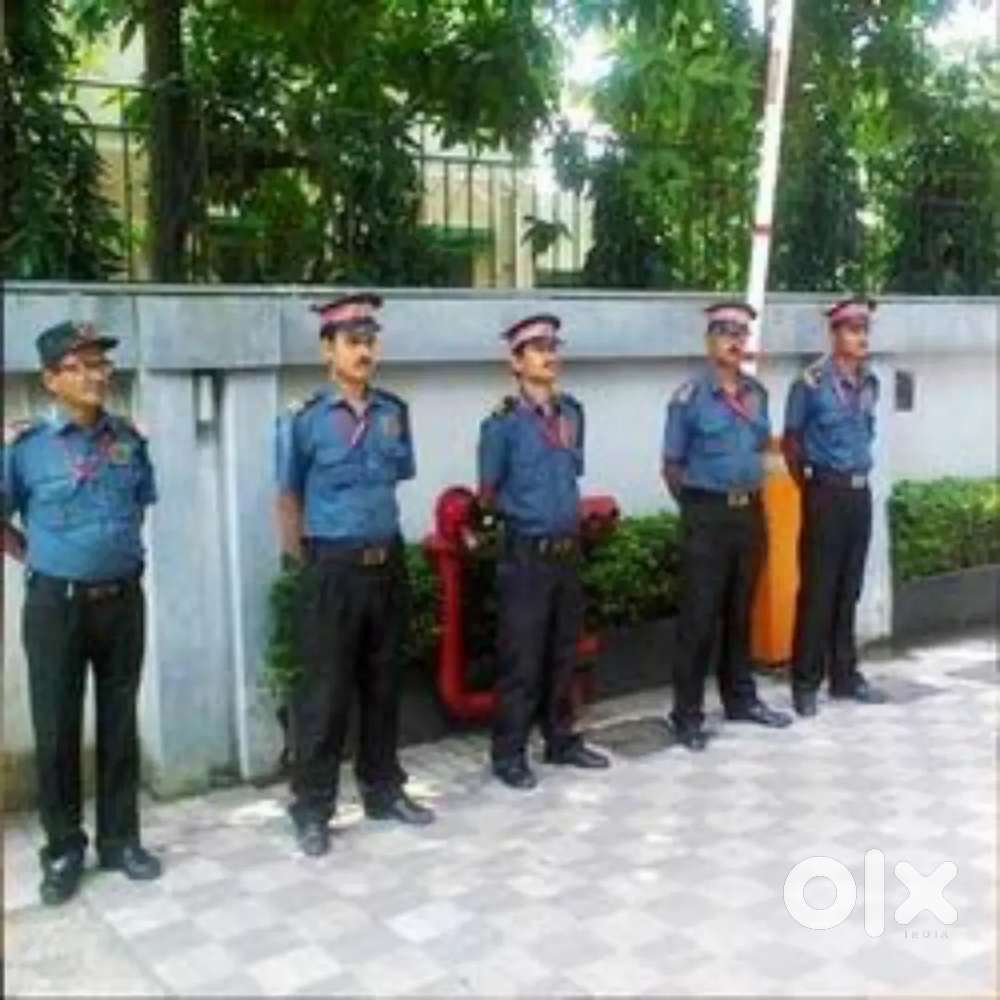 If you want to earn good then contact us all types of jobs available