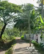 13 cent land sale near Thamathukonam junction