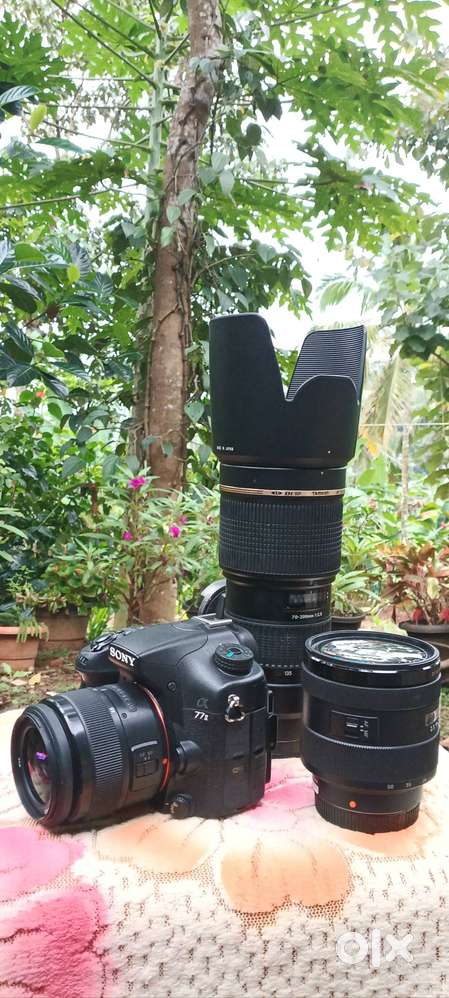 SONY A77M2