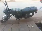 Boxer on sale