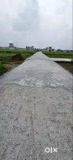 land for Sale in Haldwani - Near Panchayt Ghar Chauraha