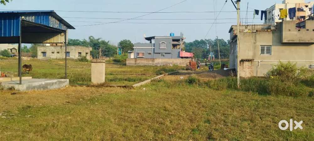 5,80,000 Par Katha 2,33 Katha Plot Available Arrah