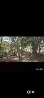 5 acres land for sale in Hassan