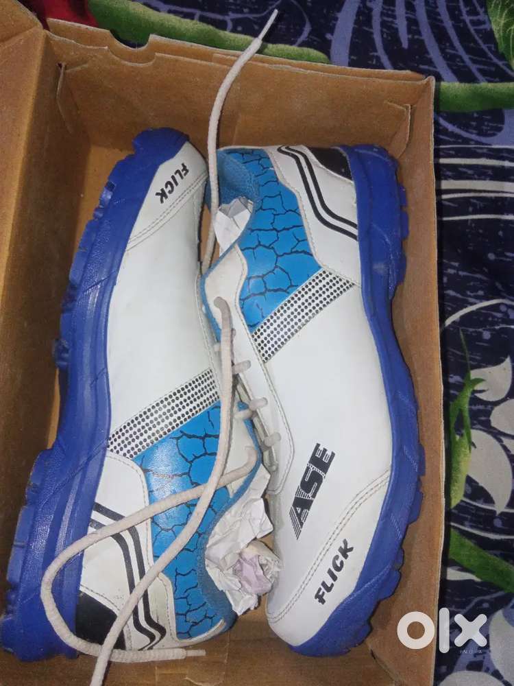 Cricket shoes