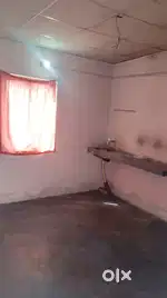 Single Room for Rent