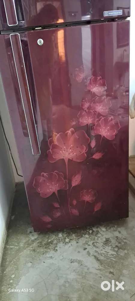 LG fridge 10 year warranty.