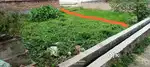 1.5 katta land