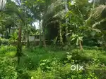 35 Cent Commercial Plot for Rent – Near Feroke, Calicut  + Well