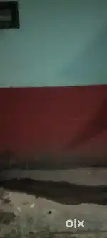 Restaurant cook