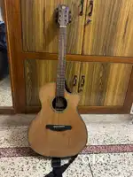 Alston semi acoustic guitar