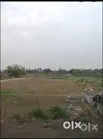 Land for sale bandha ka jameen near bhudi gandak sate