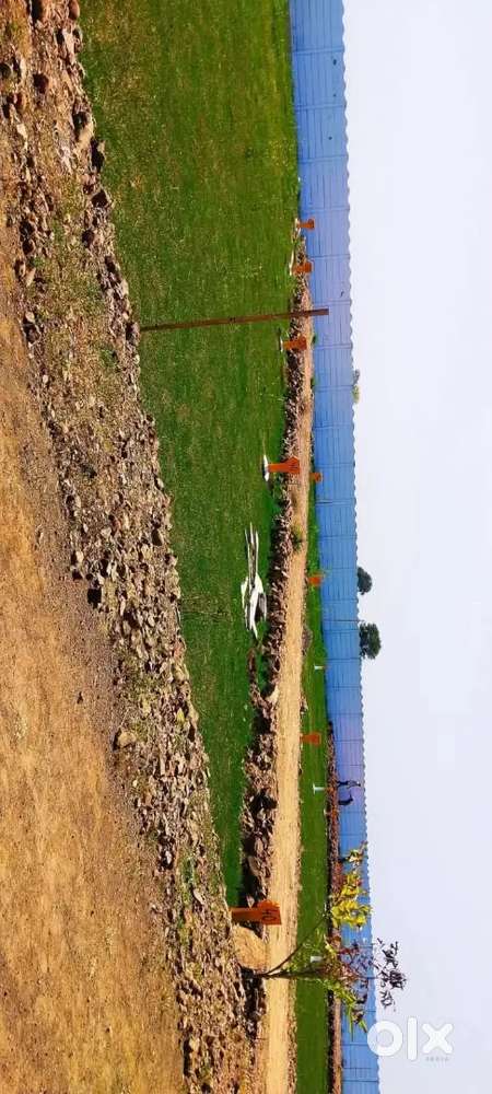 Plot,singlex, duplex