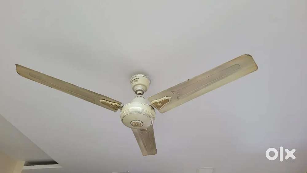Three Ceiling fans