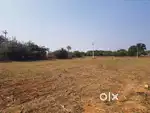 3.2 Acres agriculture land for sale