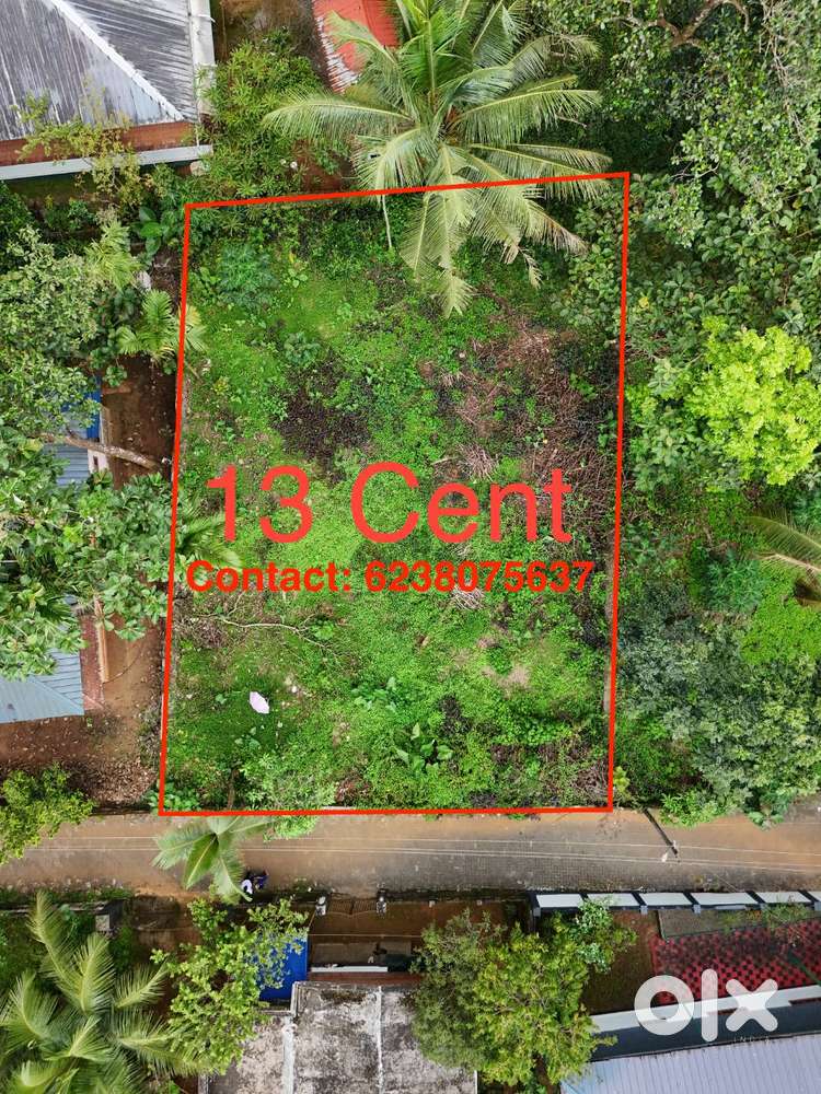 Land For Sale in Thodupuzha Pattayam Kavala House Plot for Sale
