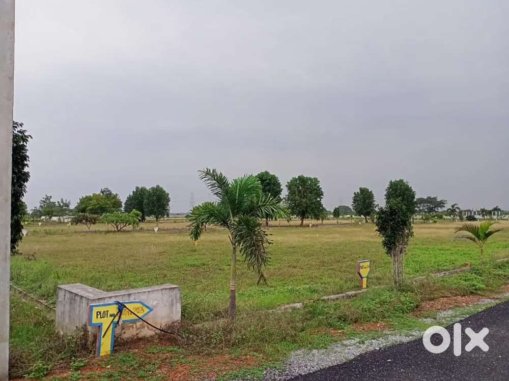 Approved plots nearby Venkatagiri