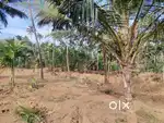 7 acre land for sale