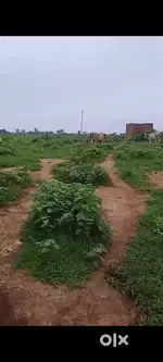 5 biswa hai jameen 20/210 chitrkoot haiway pe fress jameen hai road pe