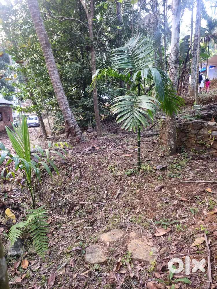 6 cent road side plot. Near hill highway