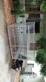 Birds and dog comfortable cage