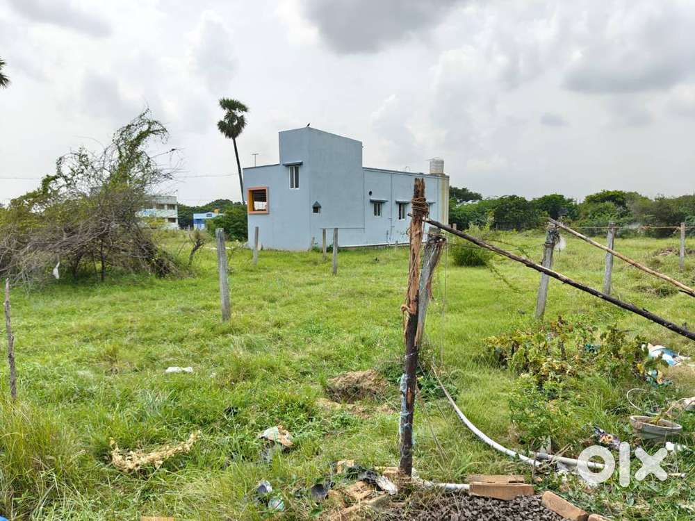 Best Investment for Future