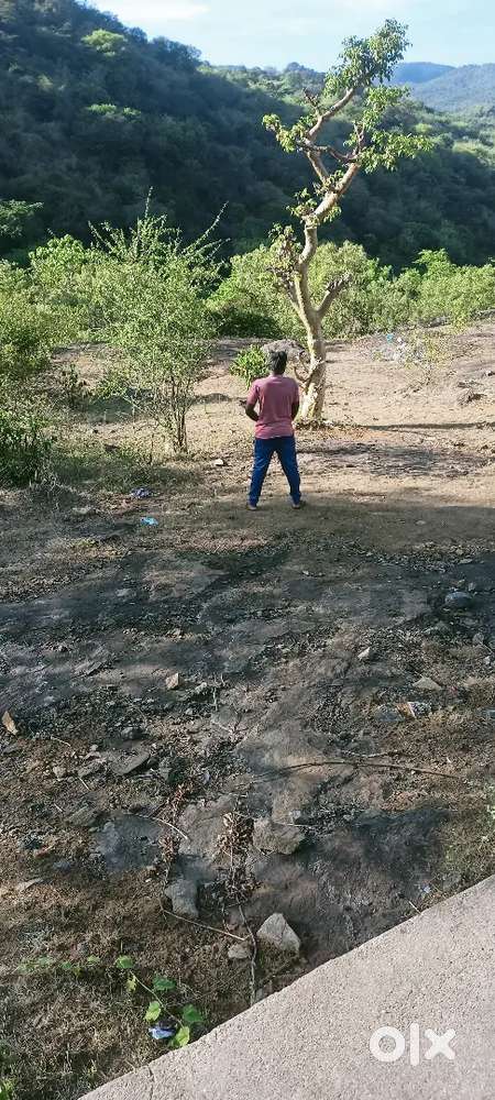 Beautiful Man rental