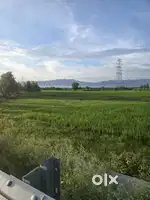 150gaz plot available in charba