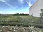 Corner Plot for Sale in Lathi (Ready to Construct)
