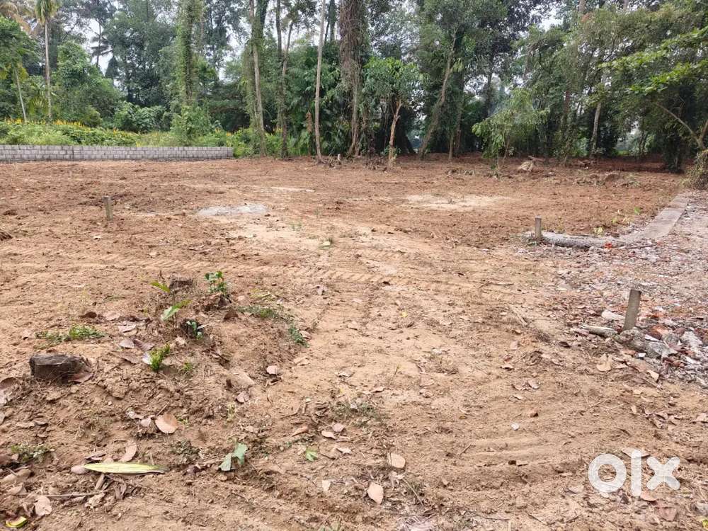 3,4 and 5 cents or 21 centssquareplotfor salein manjummel,(purayidam)