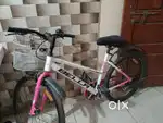 Vesco pink bycycle