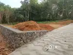 10,11,20  or 25 cents house plot for sale @pramadom area