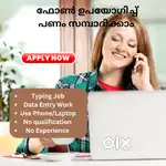 Data Entry Work