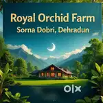 Plots for sale